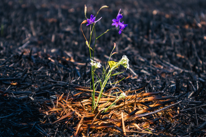 ����� � ���� ����!