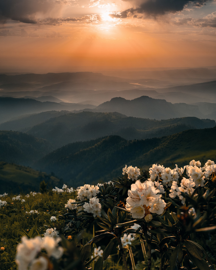 5 утра на горе Асбестной