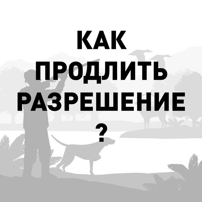 подтверждение номера теле2 через госуслуги. Смотреть фото подтверждение номера теле2 через госуслуги. Смотреть картинку подтверждение номера теле2 через госуслуги. Картинка про подтверждение номера теле2 через госуслуги. Фото подтверждение номера теле2 через госуслуги