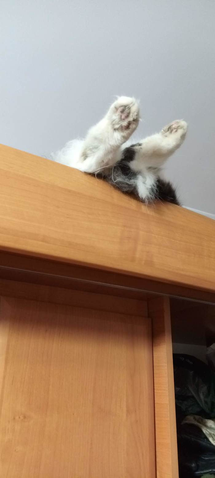   , , 