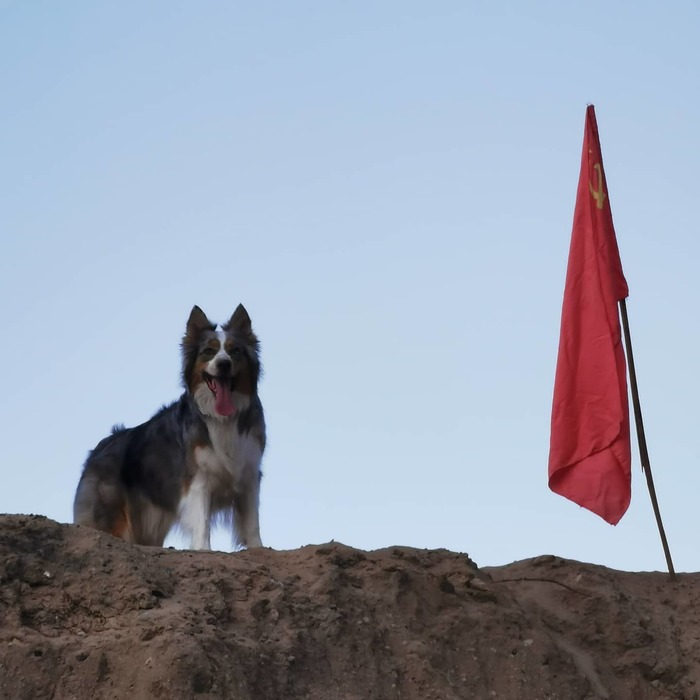 ������� ����...