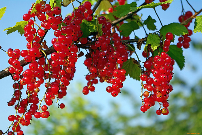 Ответ на пост «Немного о детстве»