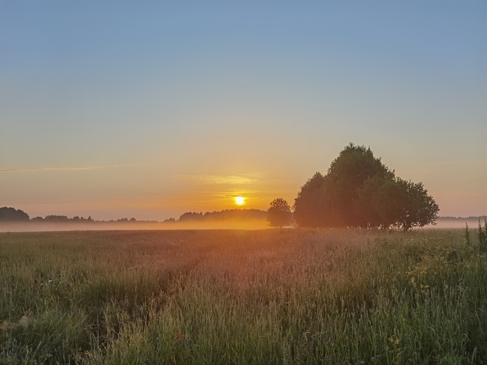 ����� � ���� ������������� �������