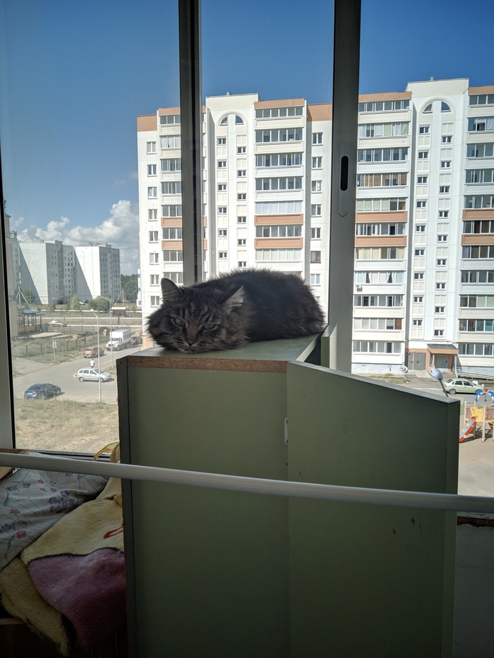 �����. ��������