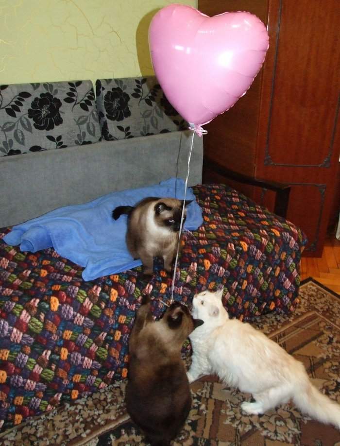     ,  ,  ,  ,  , 