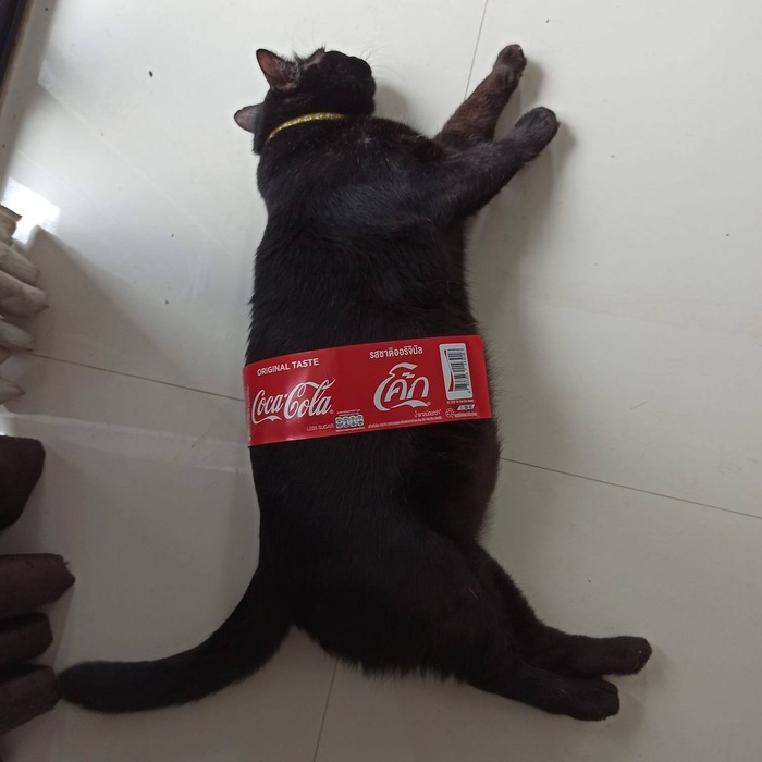   -  , Coca-Cola, , ,  