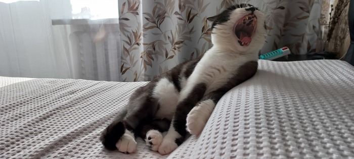 � �� ����� �� ��� �����...