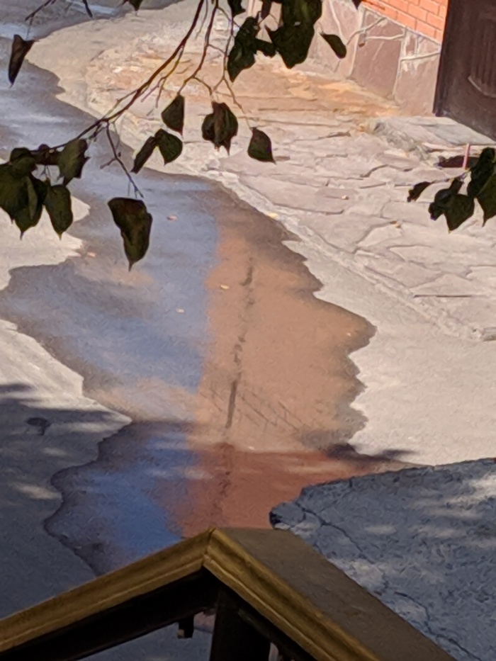 ���� ���� ������� � �������