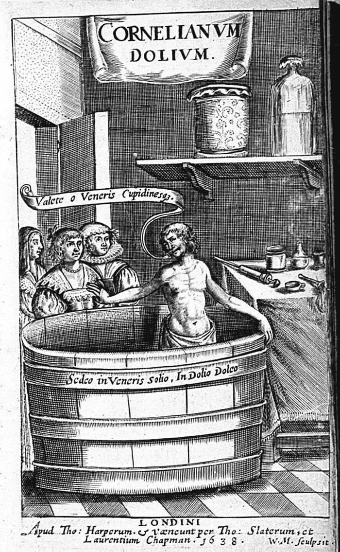 Пандемия сифилиса в XV-XVI веках Сифилис, Пандемия, Длиннопост