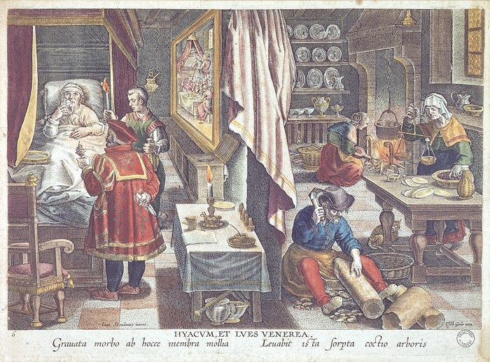 Пандемия сифилиса в XV-XVI веках Сифилис, Пандемия, Длиннопост
