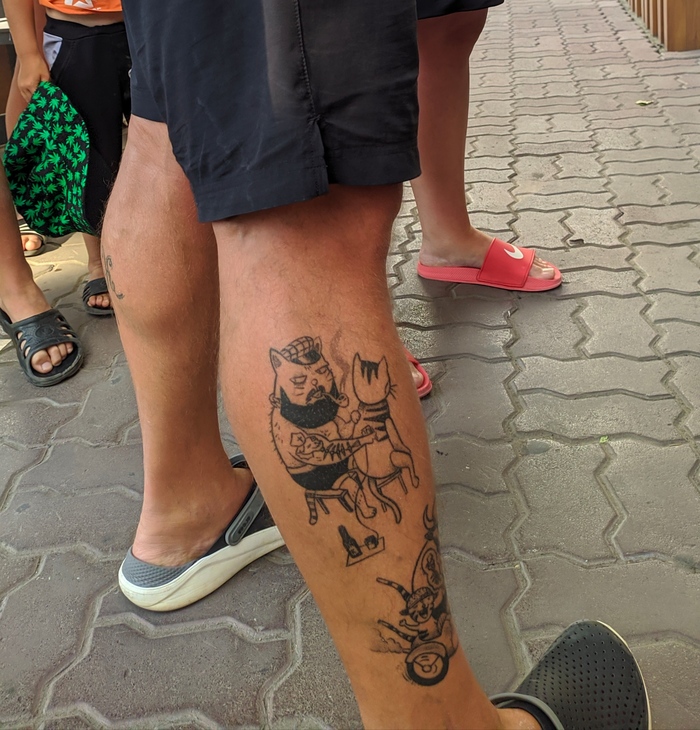 Немного котиков Вам в ленту)))