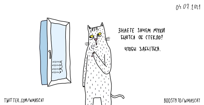 ������ ����� �����