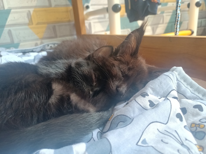 ������� ���