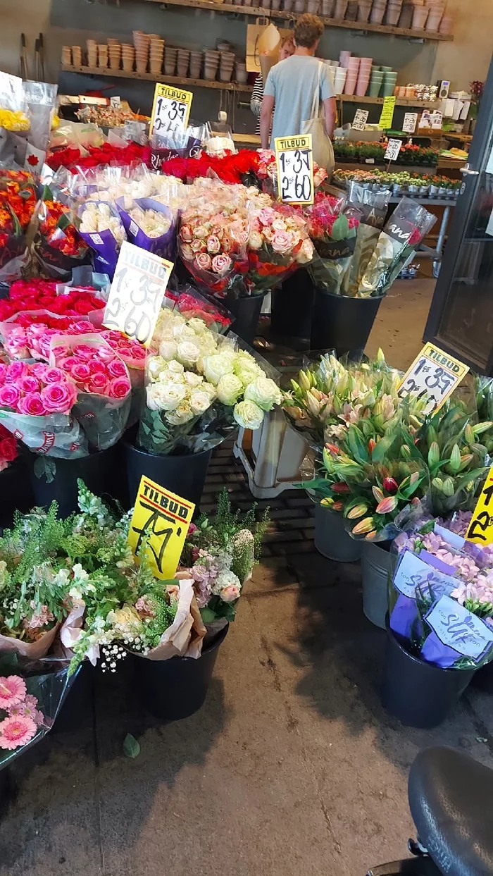 Что в Дании дешевле, чем в России? Дания, Интересное, Иммиграция, Путешествия, Длиннопост