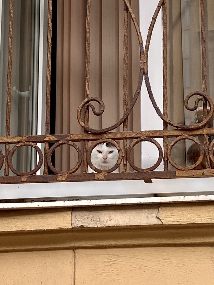 �� ��������� � ���� ����������, ������� �����