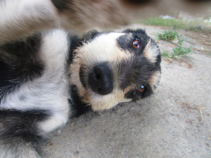 ��������