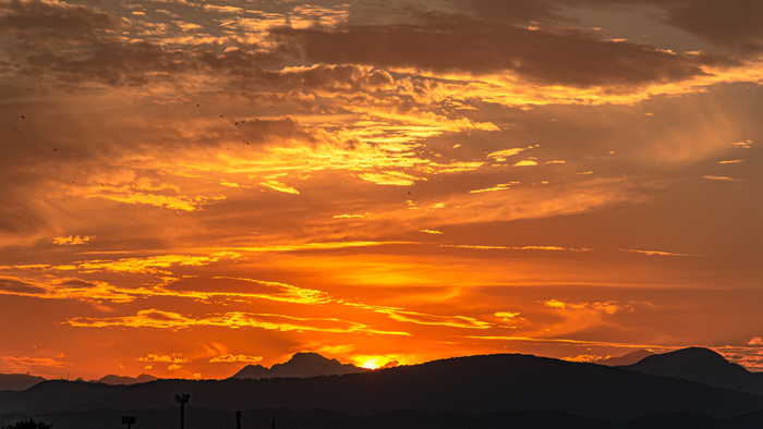 ����� � 137