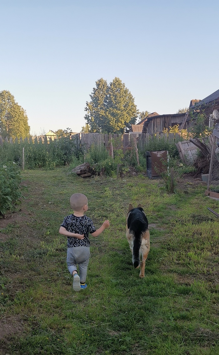 Нет, собачка, ты меня послушай!