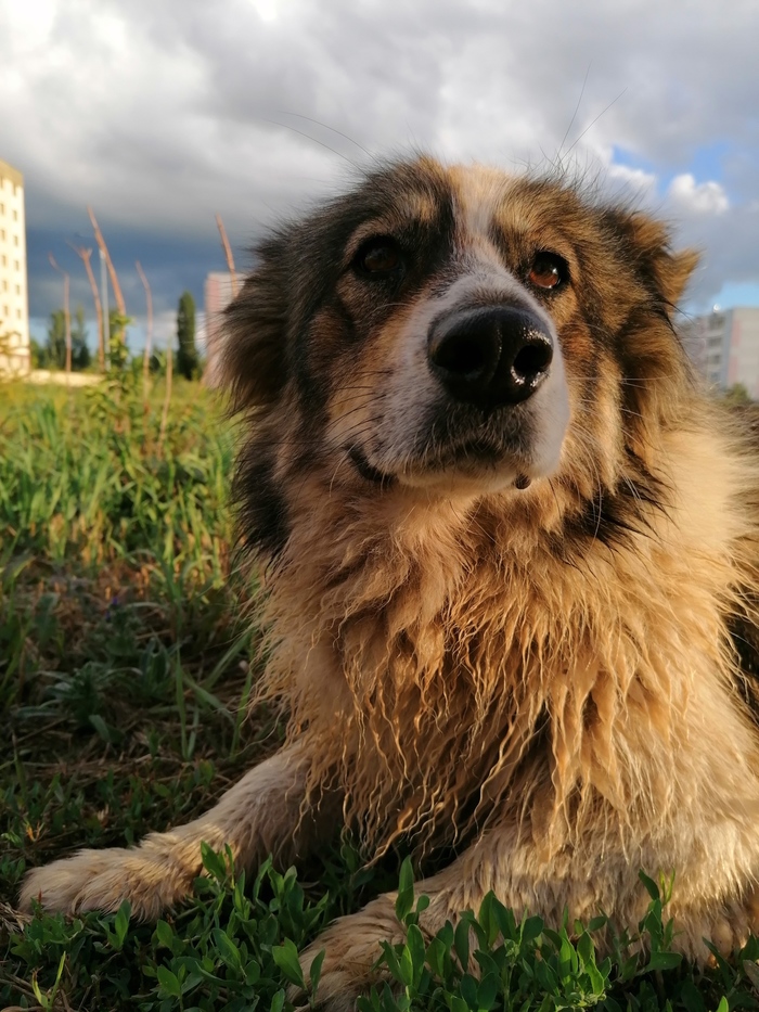 ������ �����