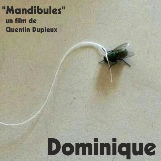 ��� ������� "�����", ��� �����