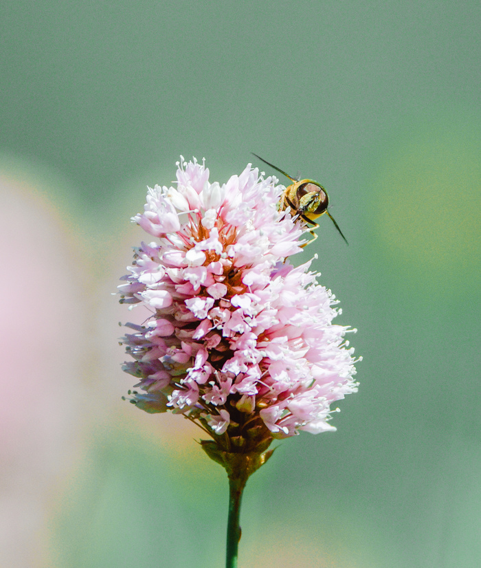 К взлёту готов!
