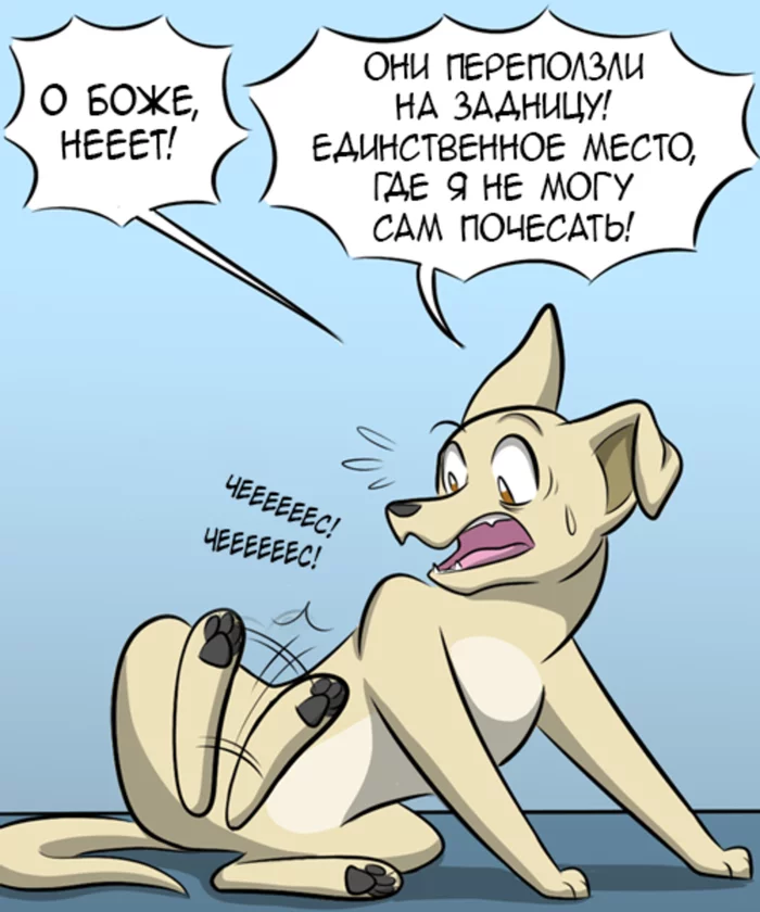 Блохи Комиксы, Гифка с предысторией, Kat Swenski, Собака, Блохи, Гифка, Длиннопост