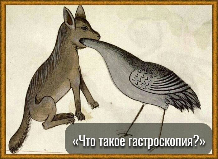 Гастроскопия...