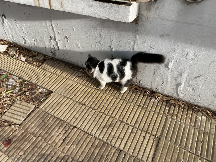 90 �������� ������