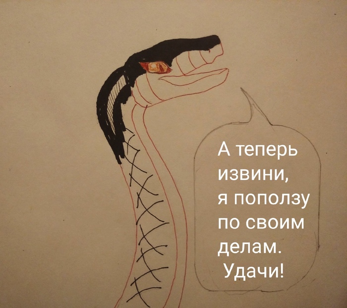какая змея рожает без яиц. Смотреть фото какая змея рожает без яиц. Смотреть картинку какая змея рожает без яиц. Картинка про какая змея рожает без яиц. Фото какая змея рожает без яиц