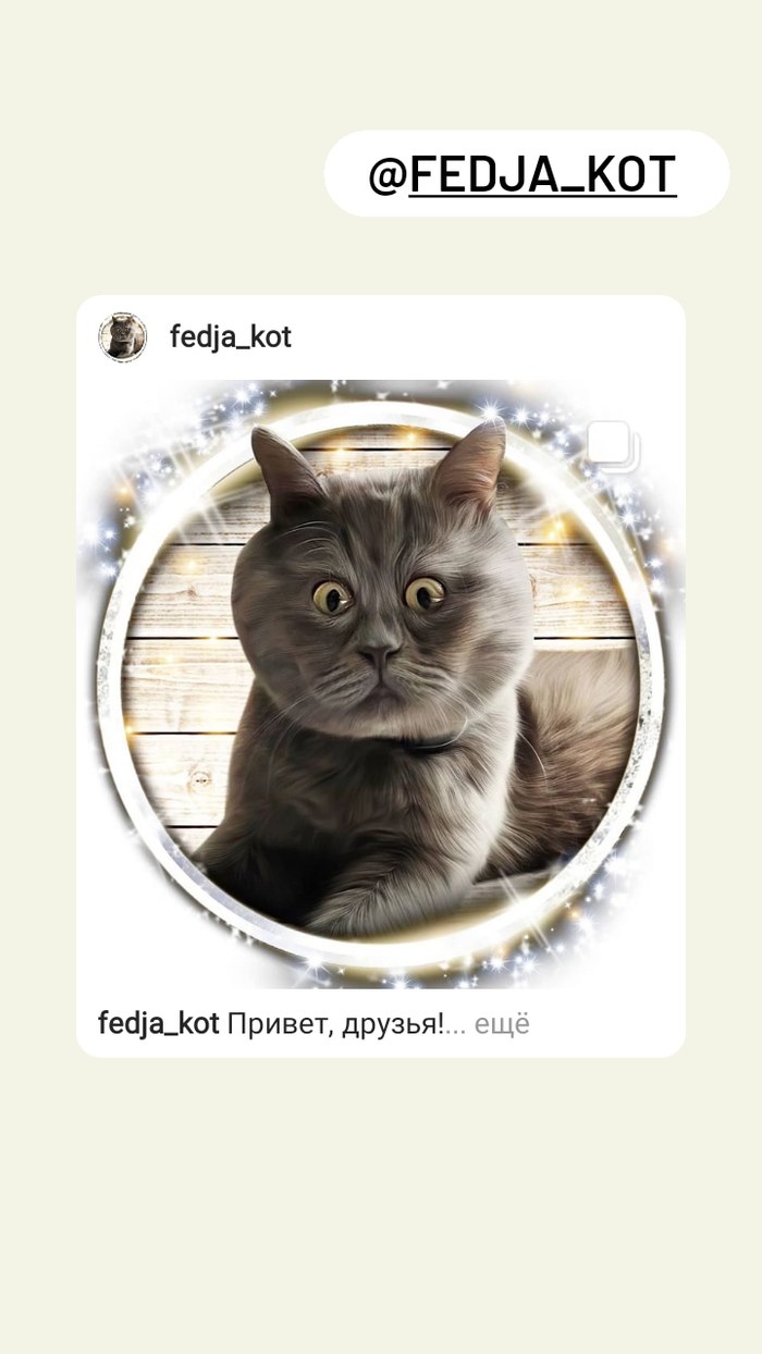 кот уилфред что с ним. Смотреть фото кот уилфред что с ним. Смотреть картинку кот уилфред что с ним. Картинка про кот уилфред что с ним. Фото кот уилфред что с ним
