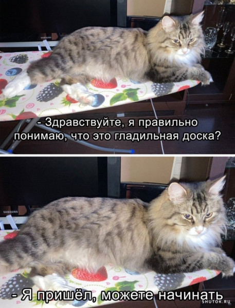 Использовать по назначению...