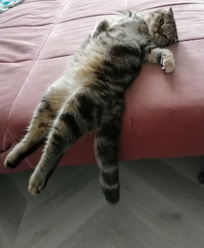 ��� �� ������ ��� ������? ��� ��� ����������?