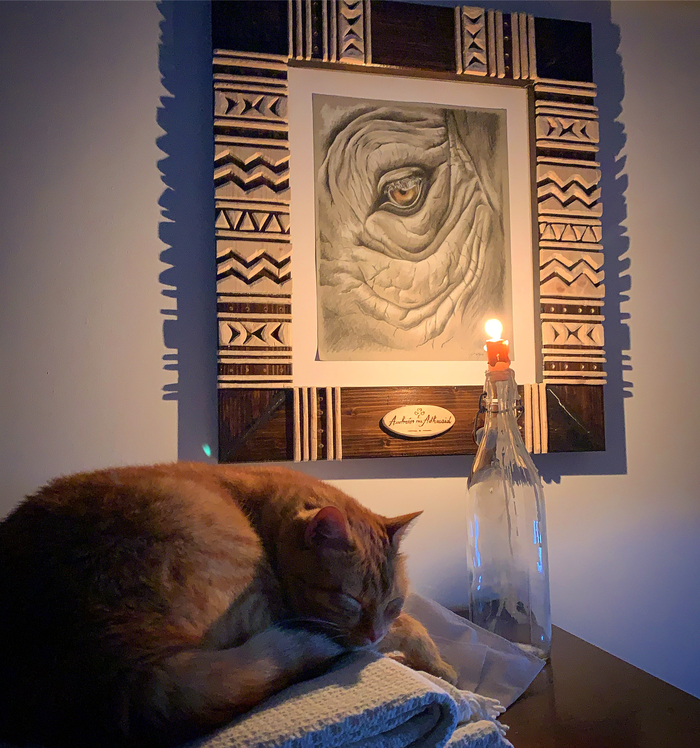 ������� ���� ��� �����. ����� �������� ����. ���� ��� ���������