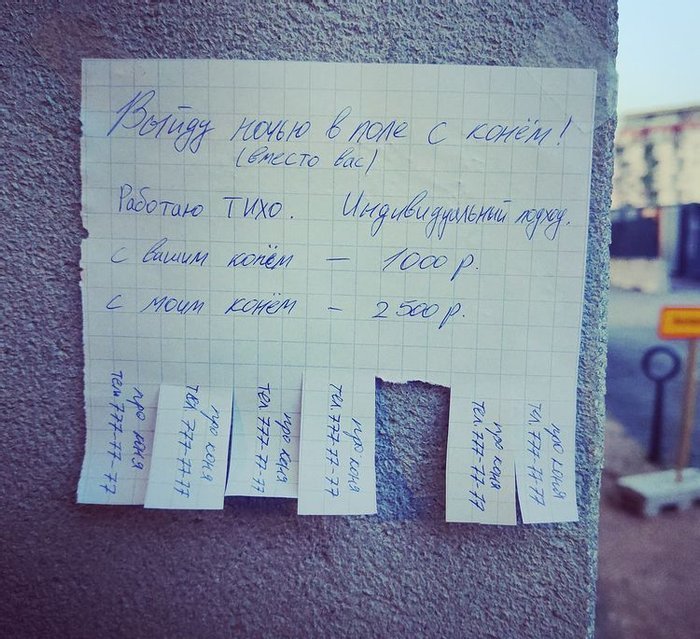 выйду в поле с конем картинки. Смотреть фото выйду в поле с конем картинки. Смотреть картинку выйду в поле с конем картинки. Картинка про выйду в поле с конем картинки. Фото выйду в поле с конем картинки