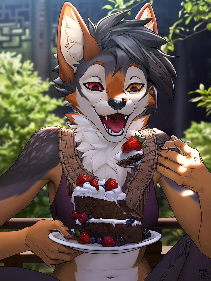 Шоколадный торт