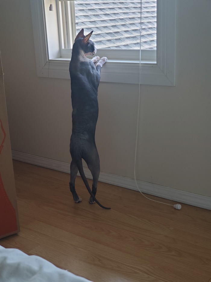   ... , ,  ,  , , 