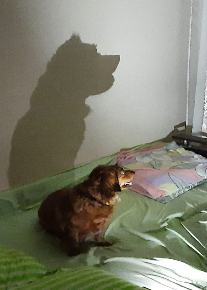 Сегодня я расскажу вам историю...