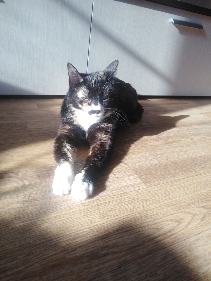 ��������� �����