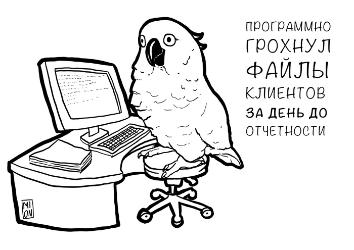 попугай компота в реальной жизни. Смотреть фото попугай компота в реальной жизни. Смотреть картинку попугай компота в реальной жизни. Картинка про попугай компота в реальной жизни. Фото попугай компота в реальной жизни