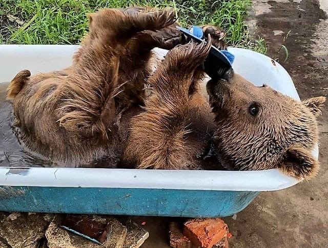 Алло! Не могу разговаривать, звоню с тапка
