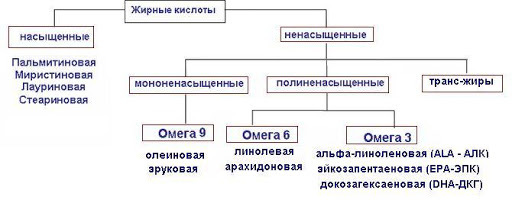 Что такое структурные жиры. Смотреть фото Что такое структурные жиры. Смотреть картинку Что такое структурные жиры. Картинка про Что такое структурные жиры. Фото Что такое структурные жиры