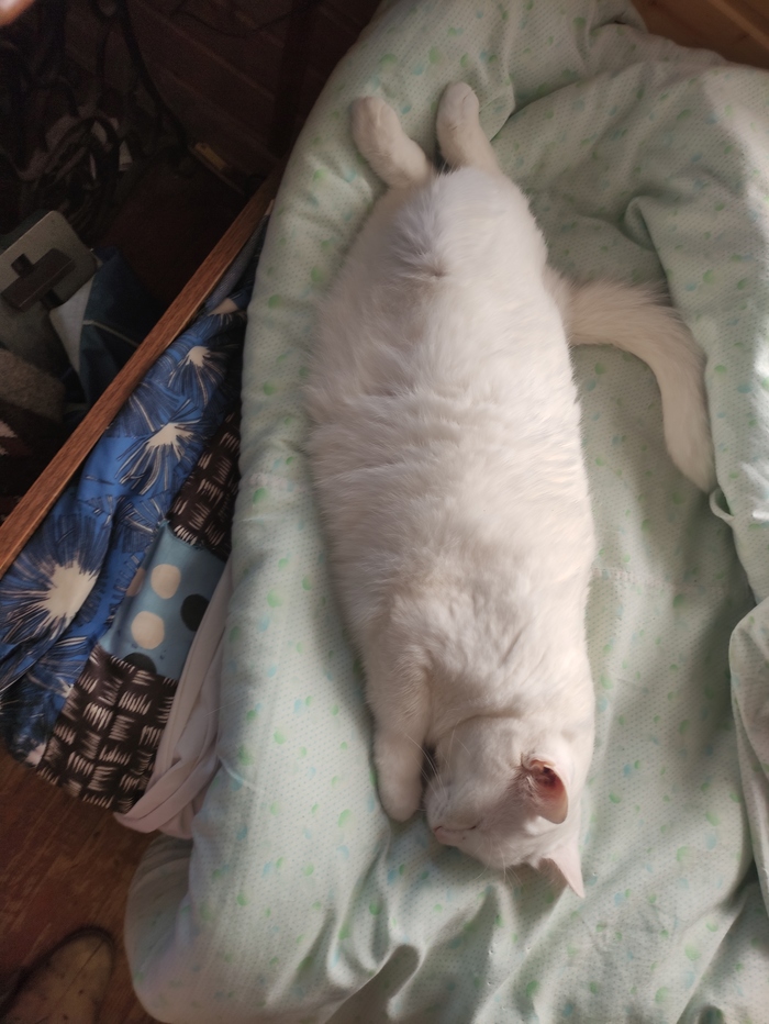 ������������ ����