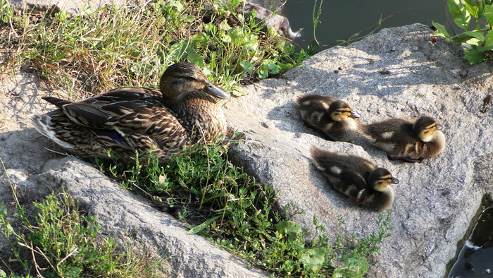 �������