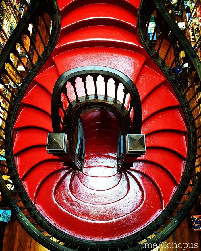 Livraria Lello -       , , , ,  ,  , 