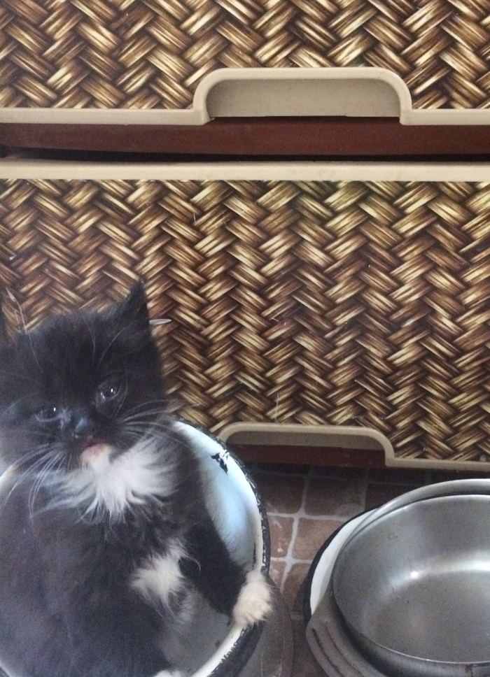 Ну, все поели? Можно уже посидеть?...