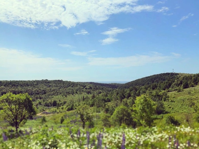 Сахалинские просторы