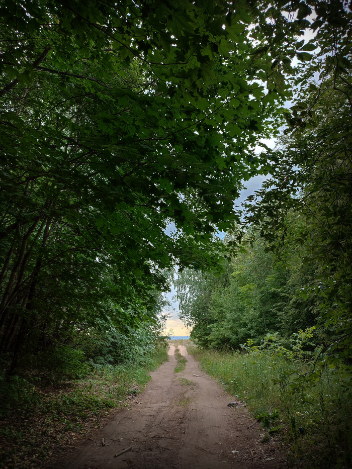 �� �������