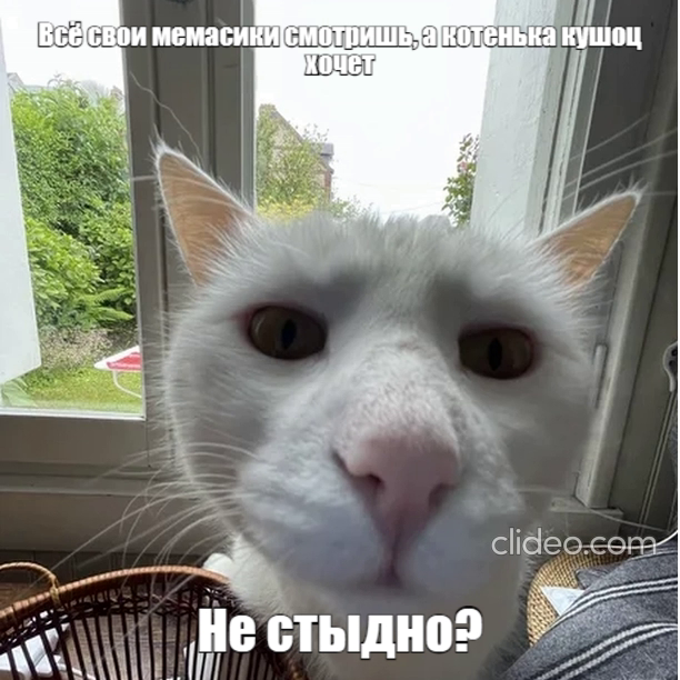 - ,   