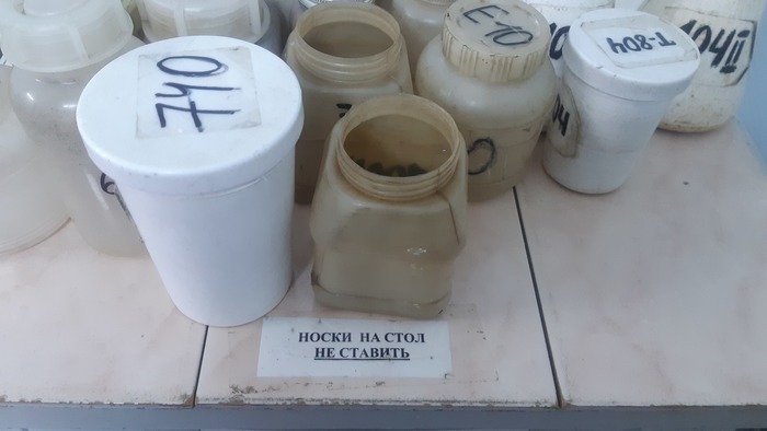 ��, � ��� ��������