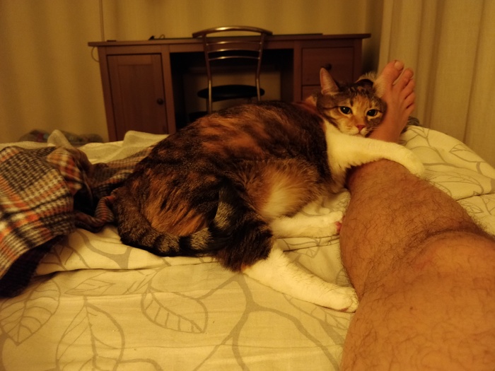 ������� ����...